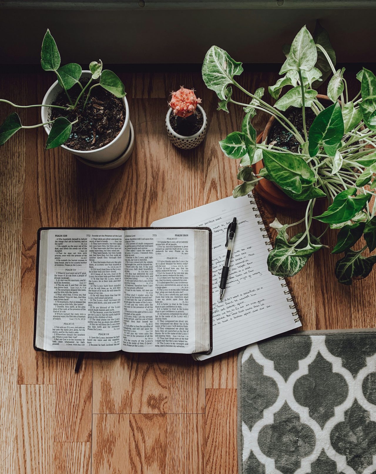1 Bible Verse For Each Zodiac To Meditate On This May